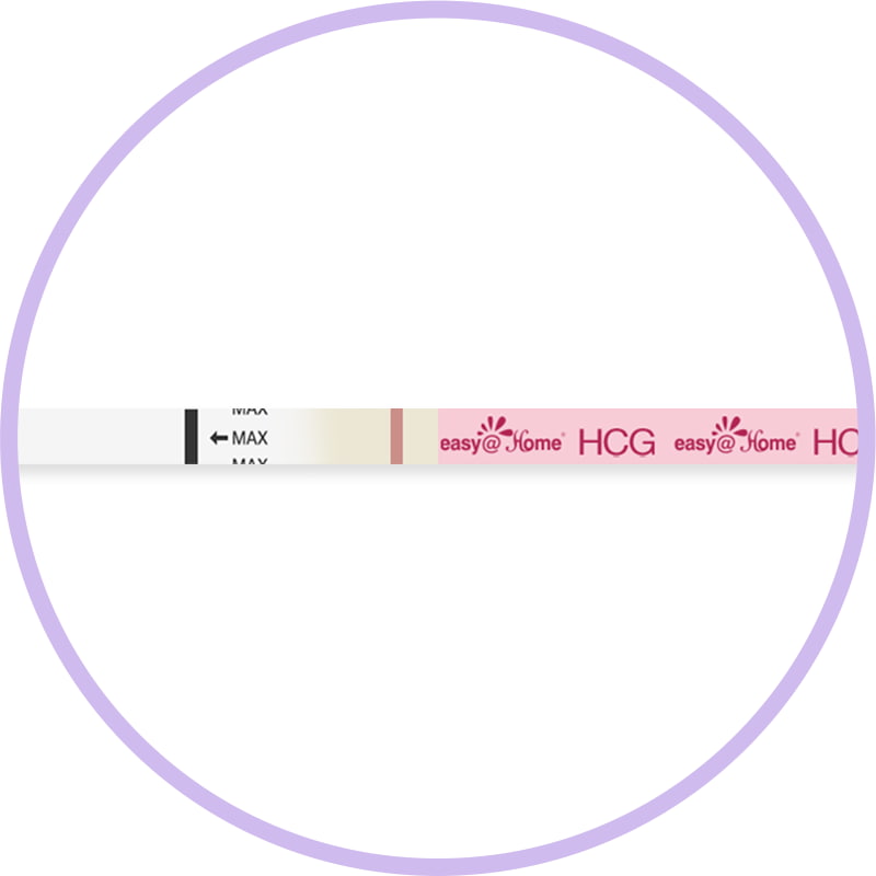Home Pregnancy Test Strip